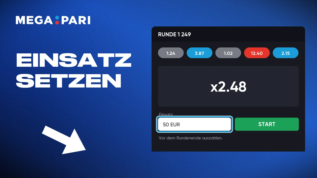 Einen Einsatz bei Megapari eingeben