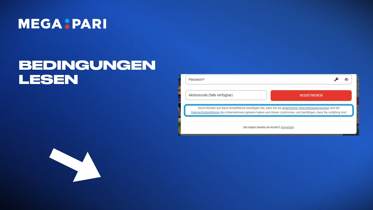 Die Bedingungen lesen und das Häkchen setzen